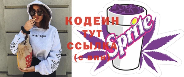 соль ск Арсеньев