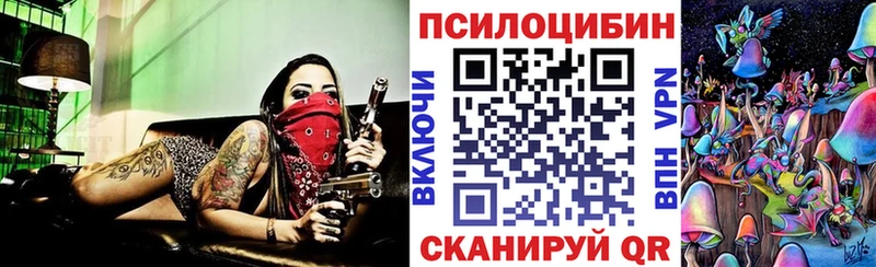 Купить где  Жигулёвск  Галлюциногенные грибы мицелий 